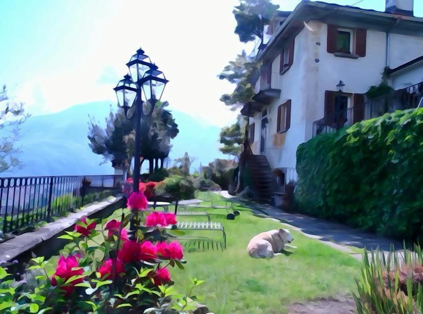 B&B Villa Moro - Family House Domodossola Ngoại thất bức ảnh