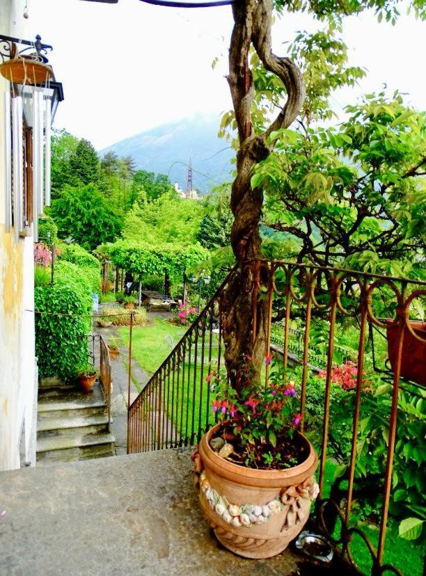 B&B Villa Moro - Family House Domodossola Ngoại thất bức ảnh